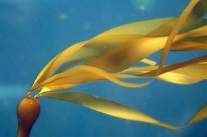 Spy on Your Boyfriend's Phone